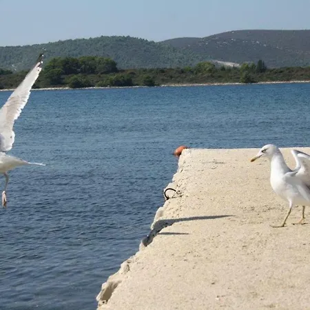 And Pansion M&r Hotel