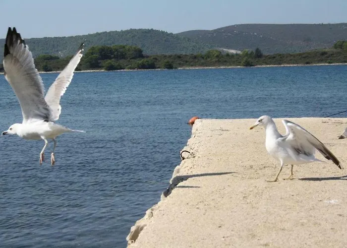 And Pansion M&r Hotel