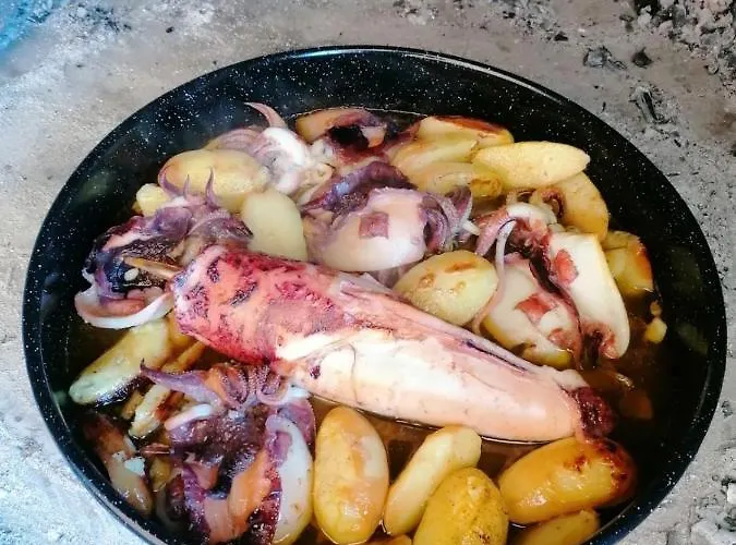 And Pansion M&r 2* Turanj