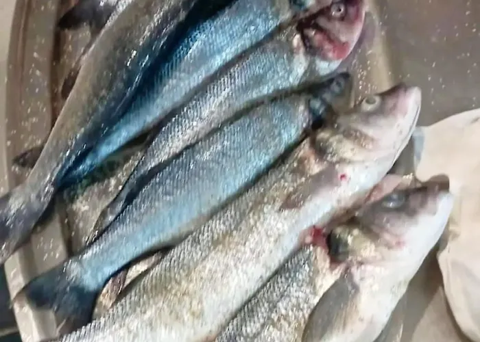 Hotel And Pansion M&r Turanj